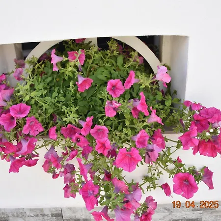 Giorgia Tatil Evi *